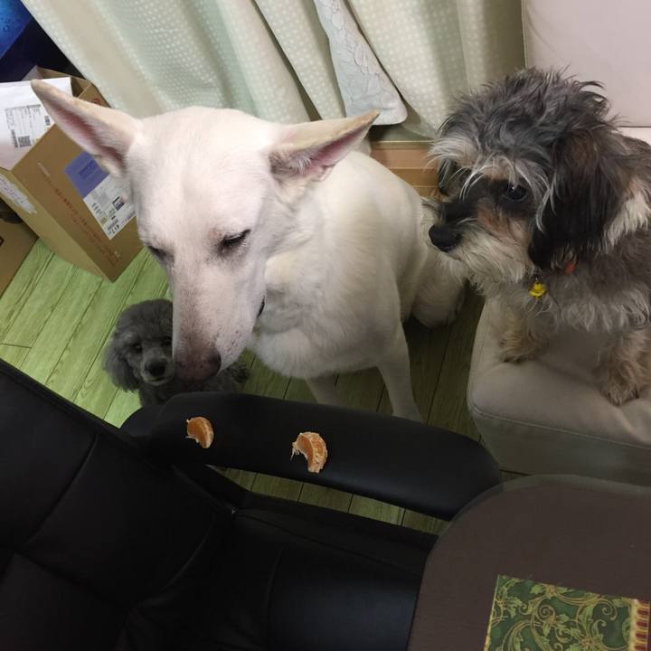 67956dee 4b93 4084 a8f0 dde07e84c901