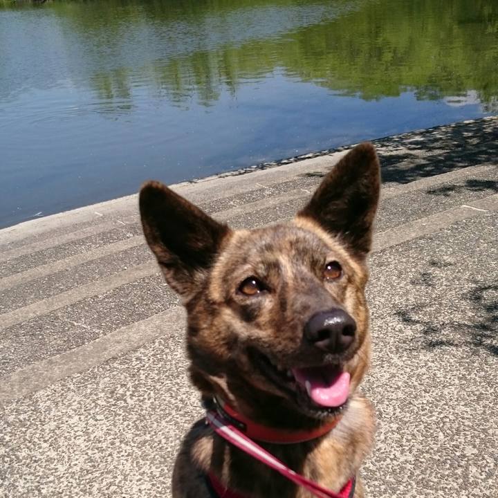 6795f293 7e55 4d10 8a19 7fbd657f8aab