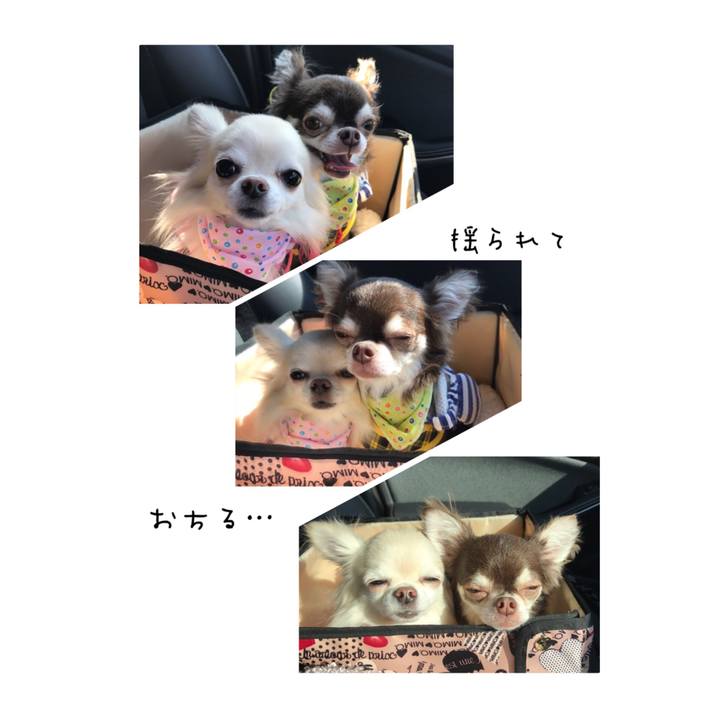 67963647 905c 46da b3af ffb44528aa42