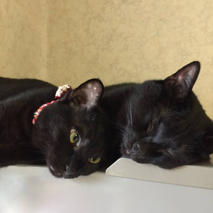 67978f60 6158 44a8 8797 fe28d3da780a