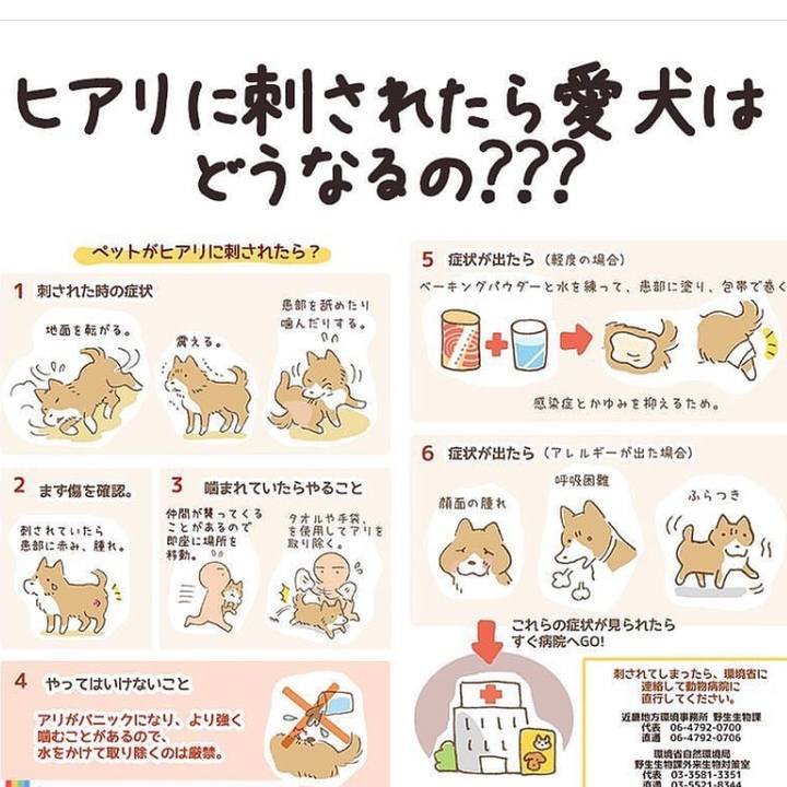 6797a080 5e43 4a38 87b3 fce76a3b8e21