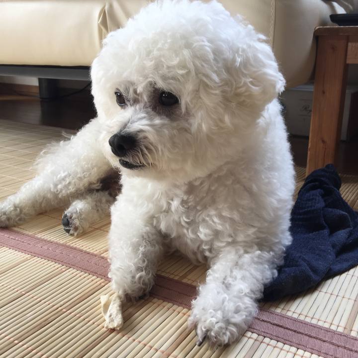 6797ce54 ea62 4bcf bbfa ec8871afb46c