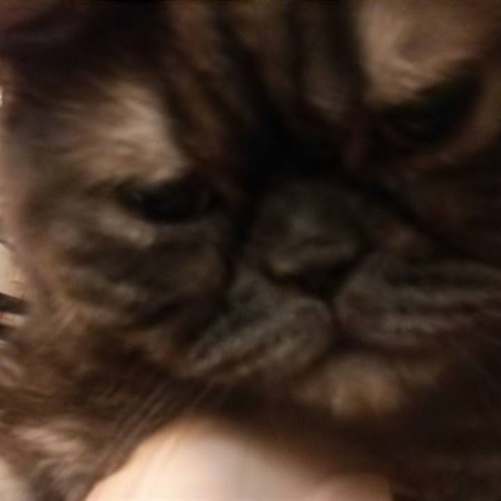 6798d480 a912 4f3f 9a97 0b0d5d6cc16e