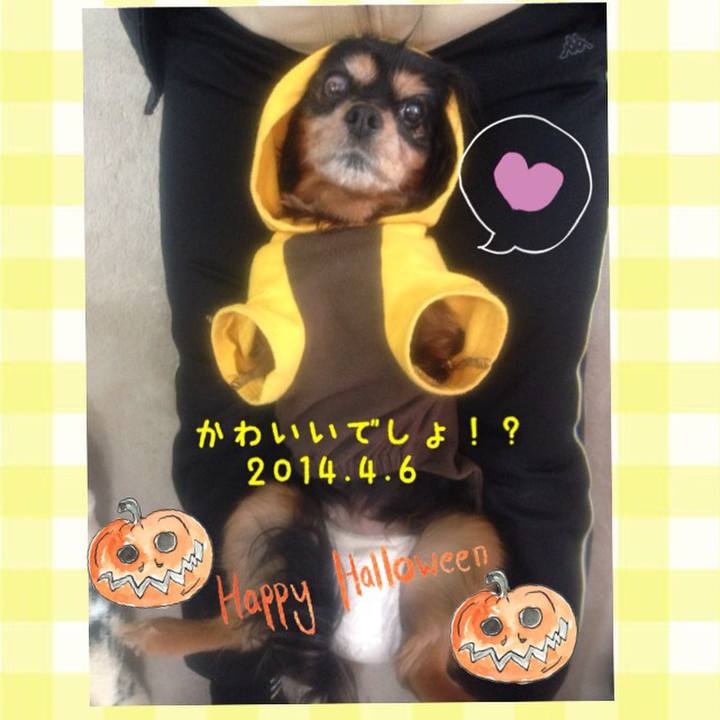 679924d4 a4cc 4a46 9529 c6b40c8a34df