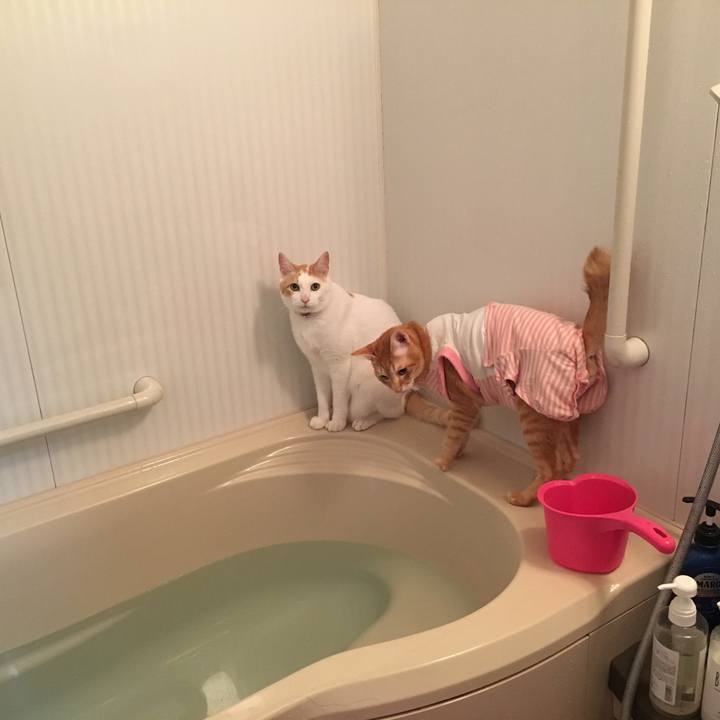 67998df6 cf60 43eb 8f2e 1169082b03cd