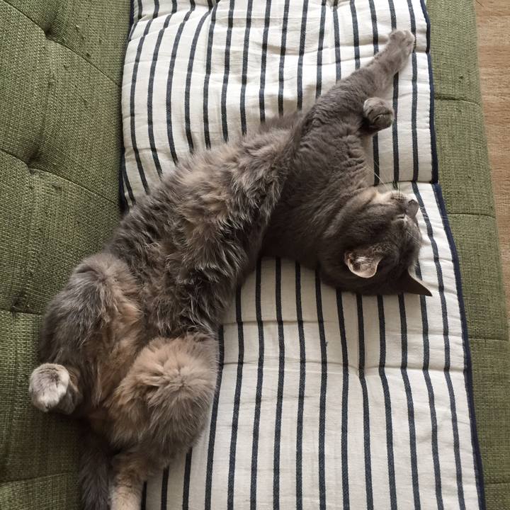 679a5c74 9932 40e0 894c 1a849df377b0