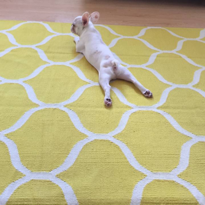 679a6b70 a17c 450a bcf9 d1cd9c34ef3f