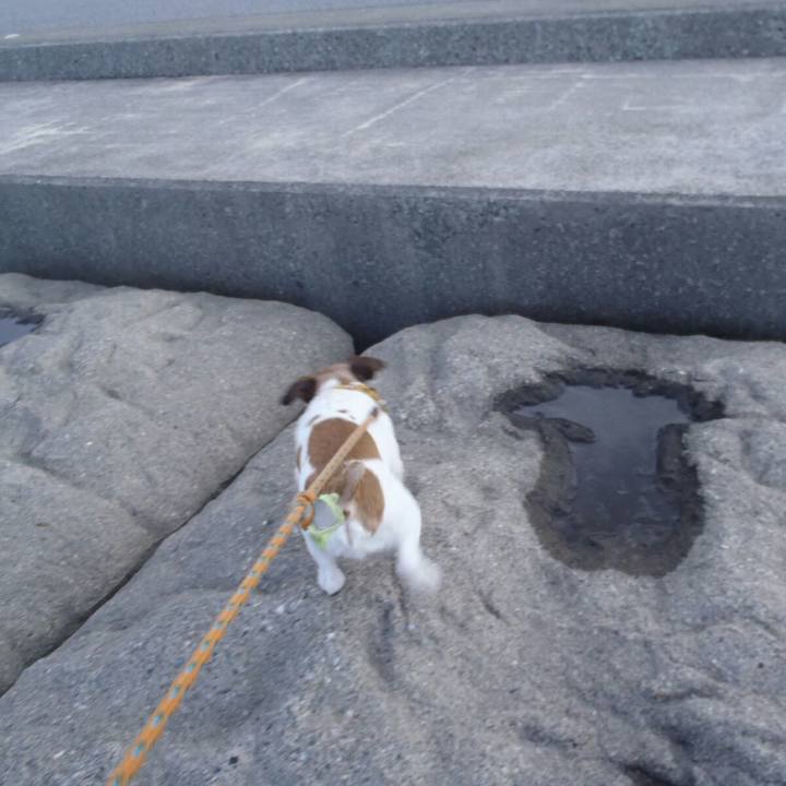 679b3124 a38f 4a16 ad00 1b50c7ba1f5f