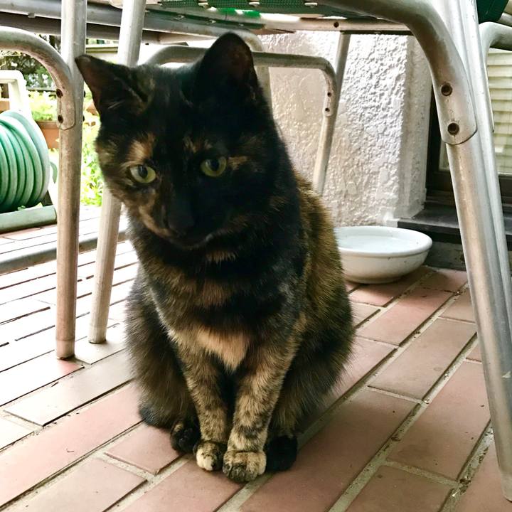 679baf0f a243 43ce 9d5f 391b79300e4f