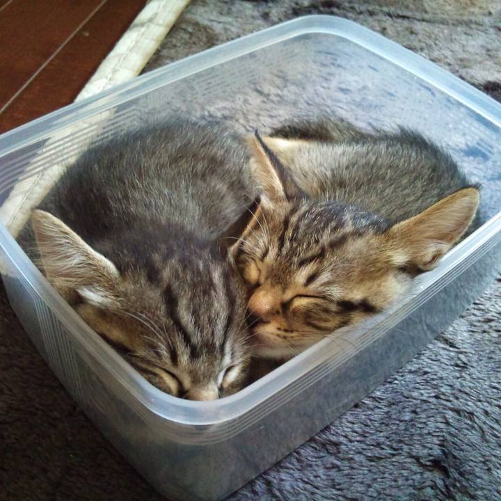 679bc6b7 40b8 4178 a326 5ac3f5255eaf