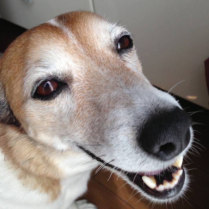 679c7362 2bd5 4086 a5bd d6cc15b097bd