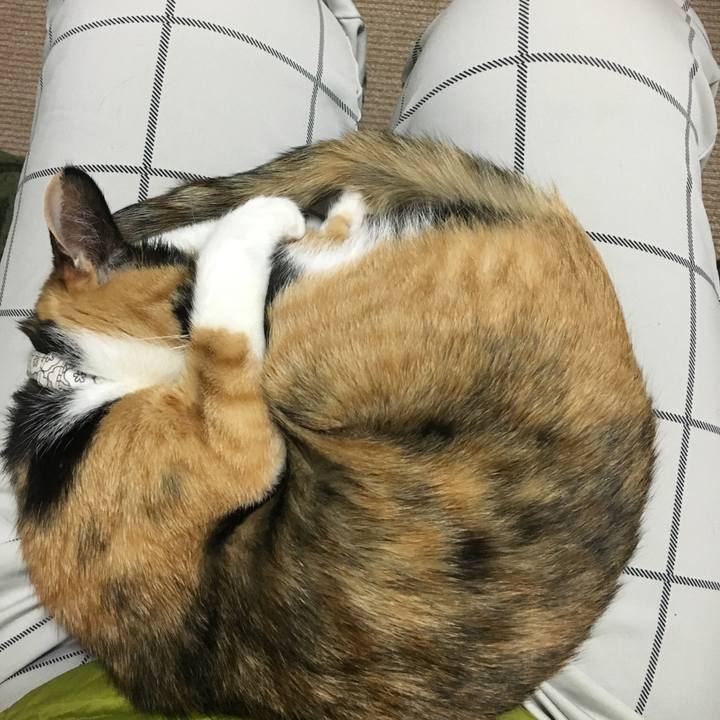 679c7e00 bbb1 4539 9876 34aa02c4c34a