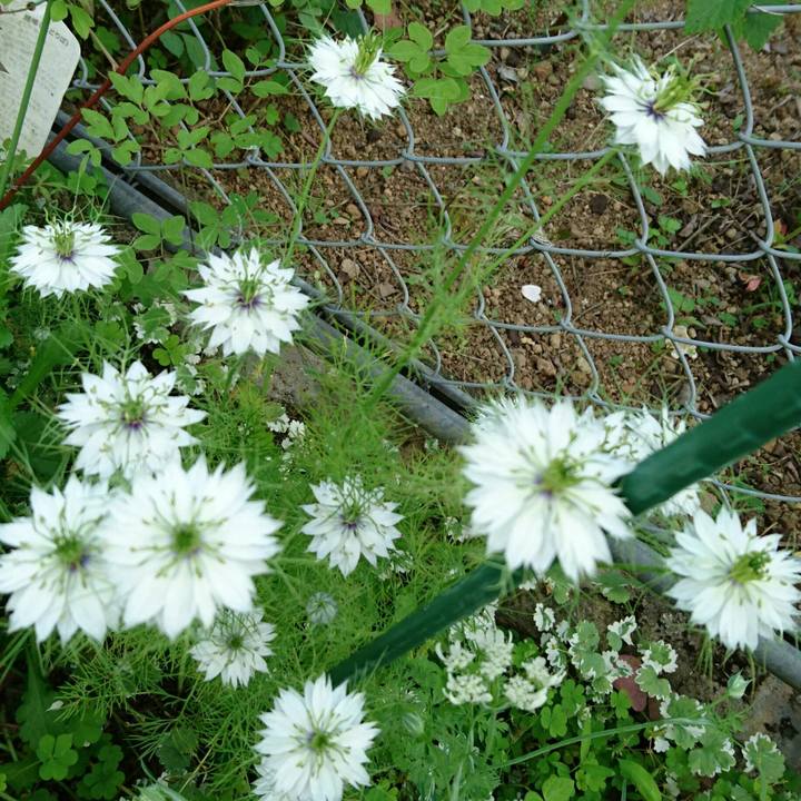 679ca576 ecf3 4eba 9287 f1bb67f8a62d