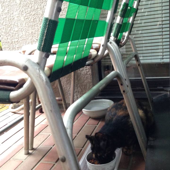 679cc6a5 fced 4987 bcbf db68f29fff17