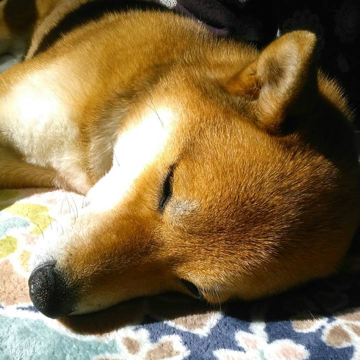 679d16e3 a45c 42c7 bacd a8235f255dd3