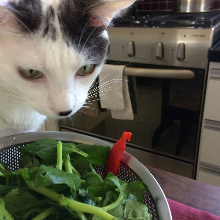 679da0fc d0a3 41d7 a004 cc433cd560e3