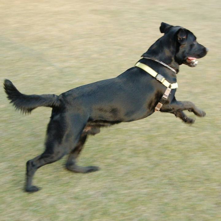 679e1301 ccf1 4439 b684 cd023a78bcdd