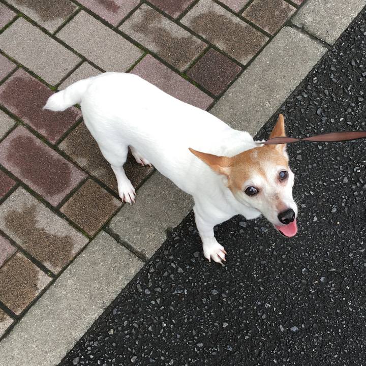 679e92bb e30e 4bd1 b1e2 224a2f466c04