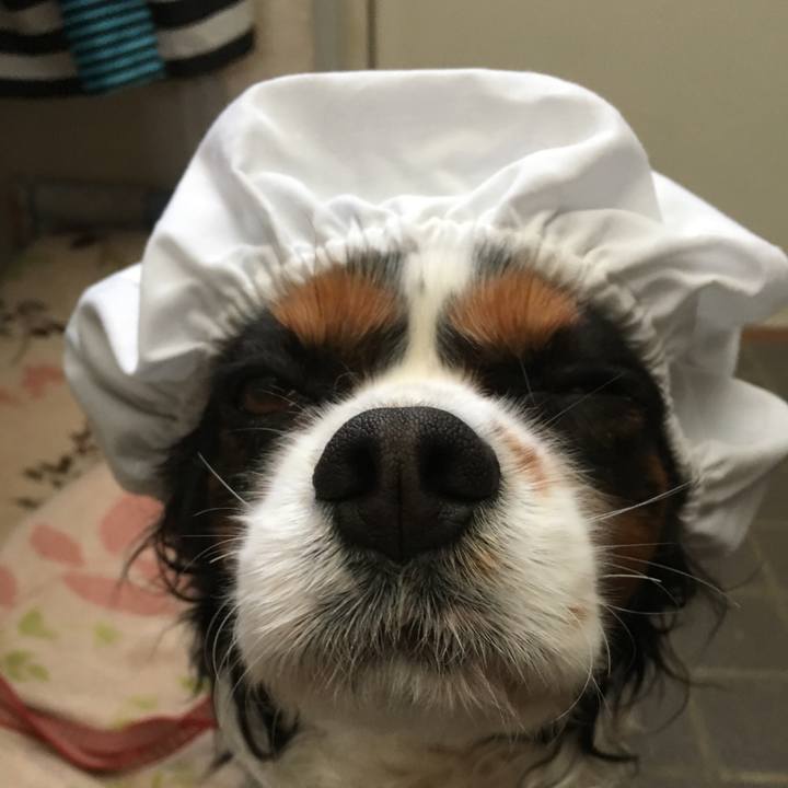 679eb62d a225 4acc b481 450a008e18f0