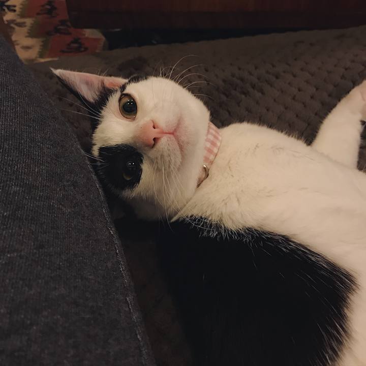 679ed6e0 029b 4637 9aaf b6ed9f2fb461