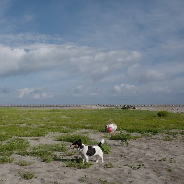 679ee619 749e 4b68 8f89 c8eb4412db00