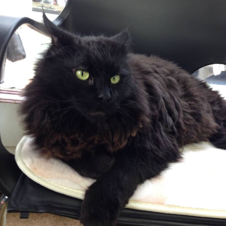 679ee9bc 27f3 4735 8b63 5e26228e141b