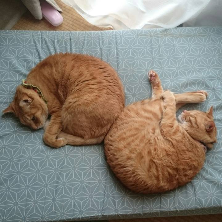 679fbf08 28b9 4d52 9d0b 0180cfce7984