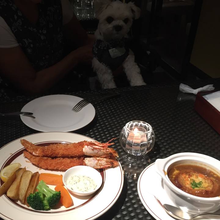 679fe4bd 55df 4738 8776 aac6d444b88e