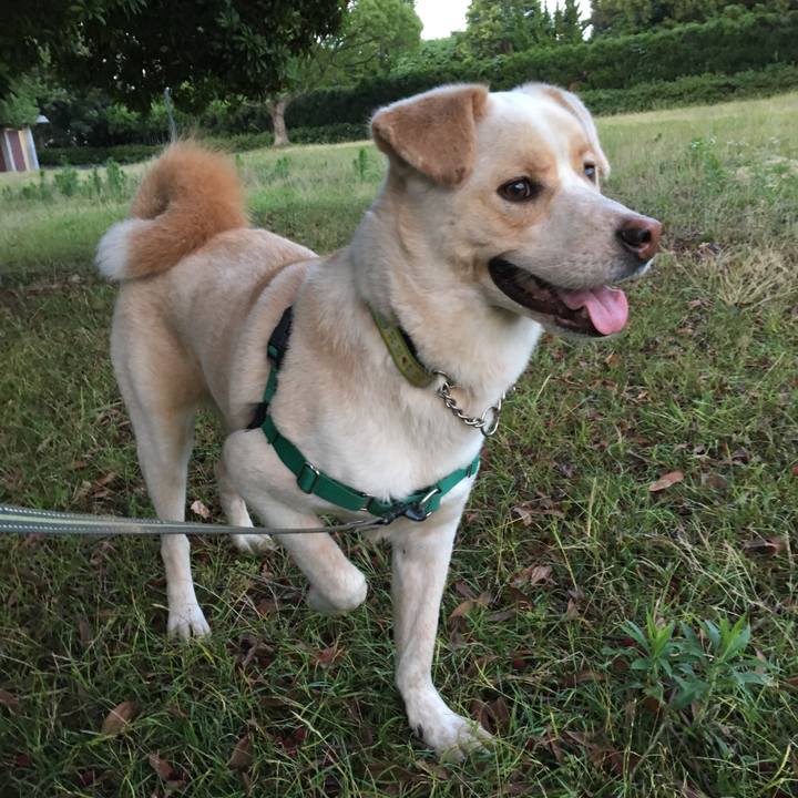 67a00be2 074f 4bd5 bbcc b970ffcd01d8