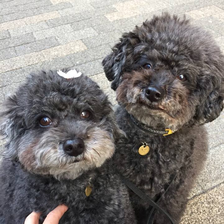 67a1bdf7 6407 4e7c ad0c 6f290fd2498d