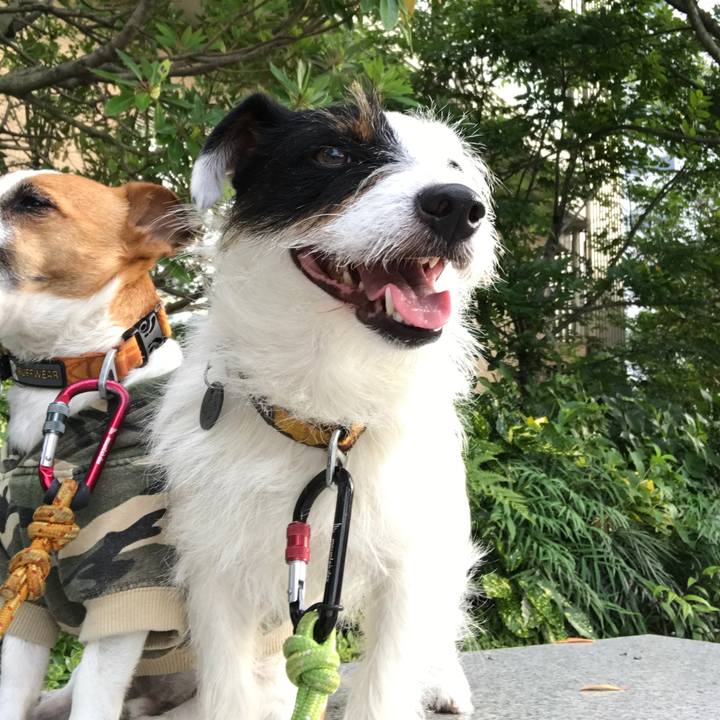 67a21765 3724 4827 9783 605c3b49eafd