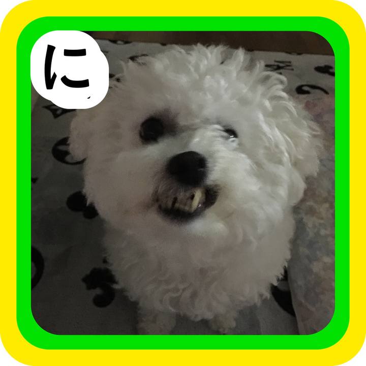 67a26242 a52a 43ea 8ac6 43835a1af63e