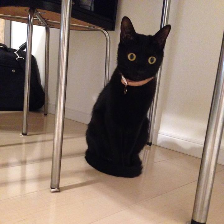 67a347f7 04f6 4763 9db2 da10a2e99643