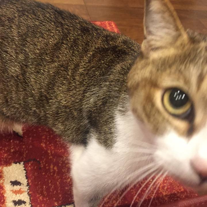 67a352aa ab39 470c 9ba4 65f2bcfe8054