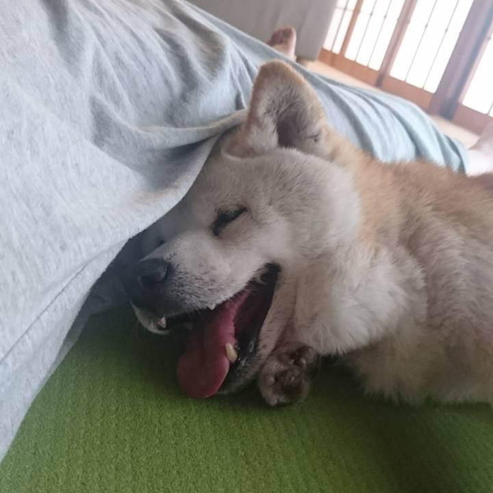 67a3704f fab3 4ced bae8 bf33d578ff4a