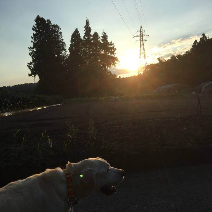 67a39431 3e92 4b2b b5a8 634bcea40a09