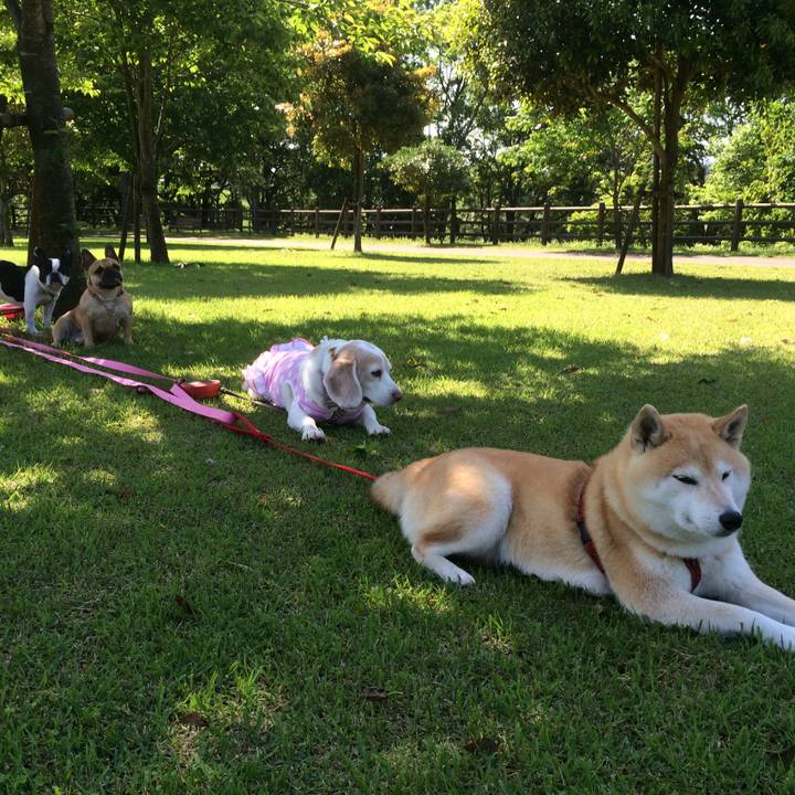 67a50e6b 9358 4a32 8d2e 771d48be2024