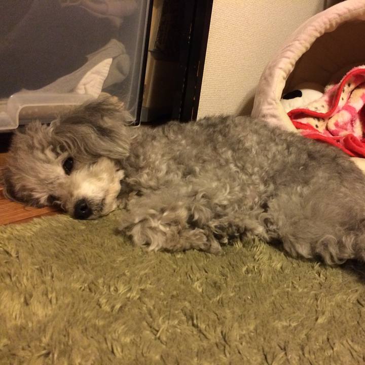 67a51d5f 50a5 41e9 90e4 6d35118b14ff