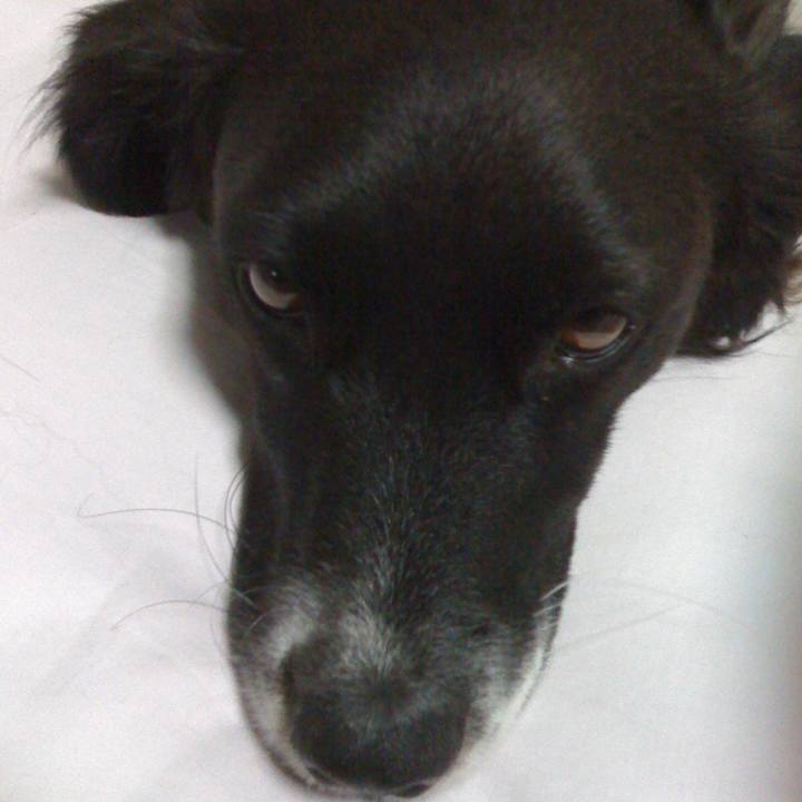 67a521f8 55c3 4d52 90c2 1c3eefc8b65e