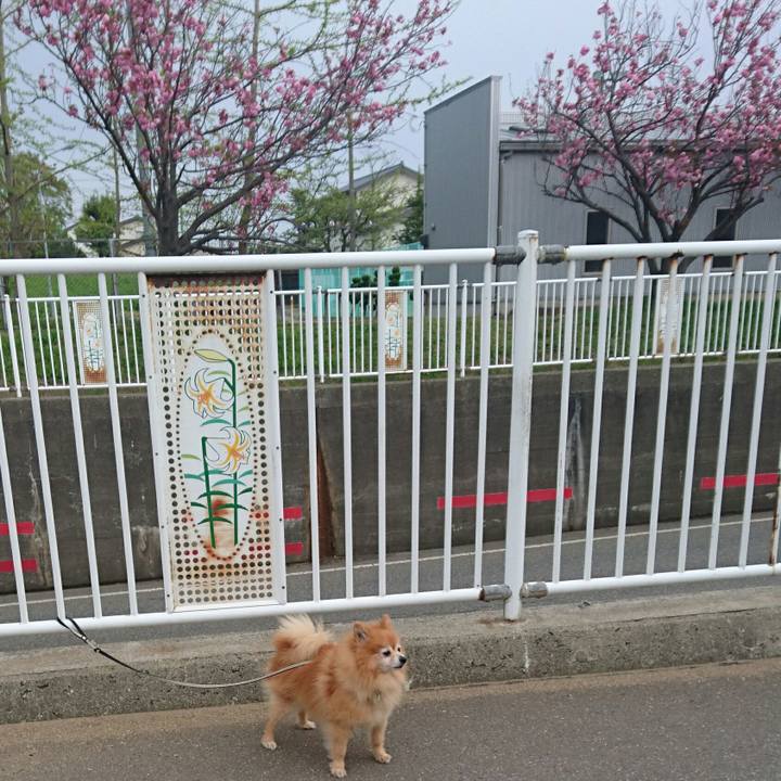 67a58488 632c 4573 a85d 2af5966cb695