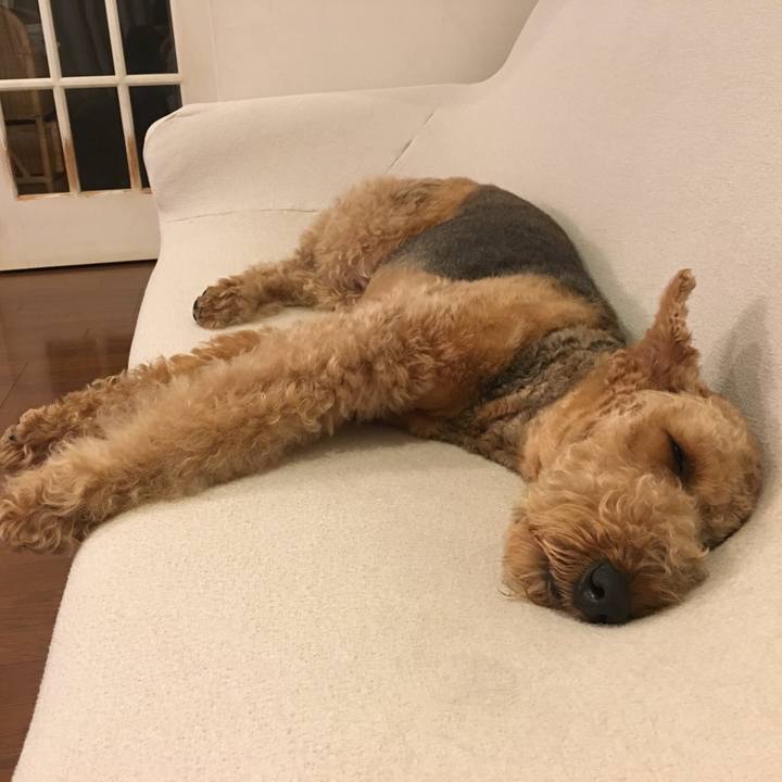 67a5b6eb 3f8e 4530 83cf 3d66099290ee