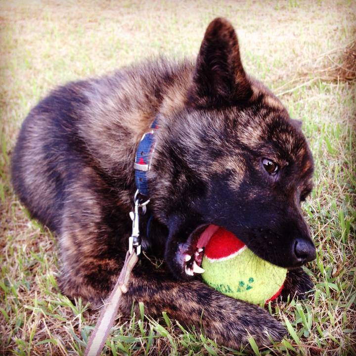 67a6458c 29ef 440a b029 e8e5bdc85179