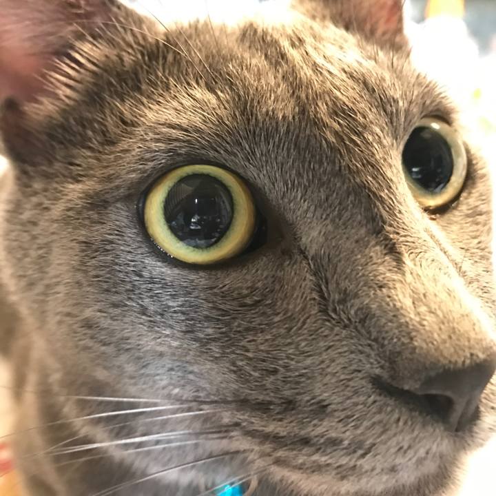 67a65092 90cc 4f78 b1f0 15bae9cd1dfd