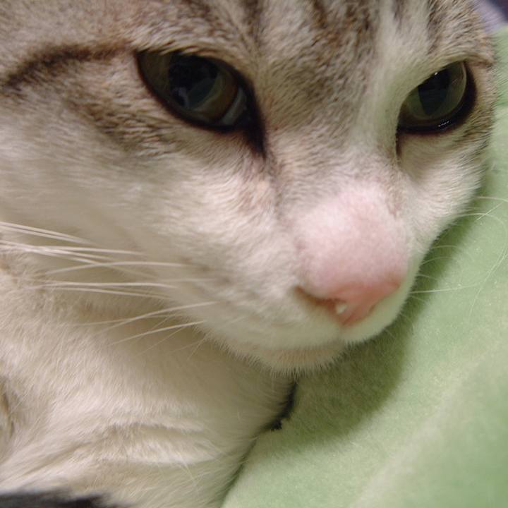 67a6b7c8 b22f 45c3 bb85 792fb9c66b56