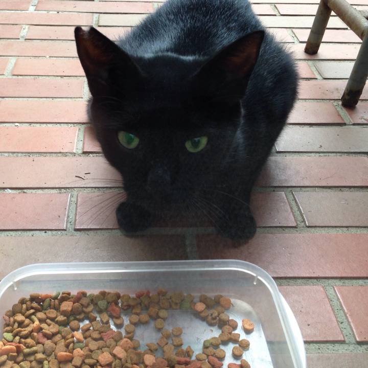 67a6e75e 3c28 4420 8796 8412eb1dceb3