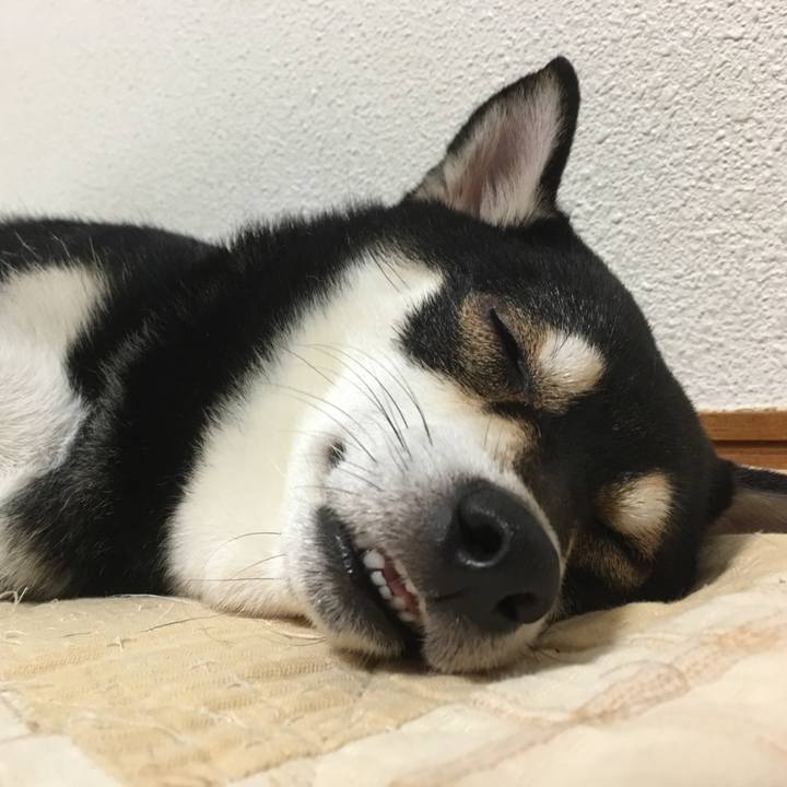 67a74f0c af77 4f3e 97f3 ff2548966ac3