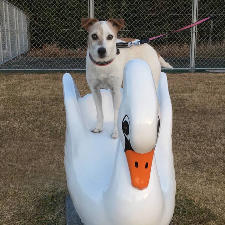 67a8db1d b654 4adb 86bf 9e30229b3af2