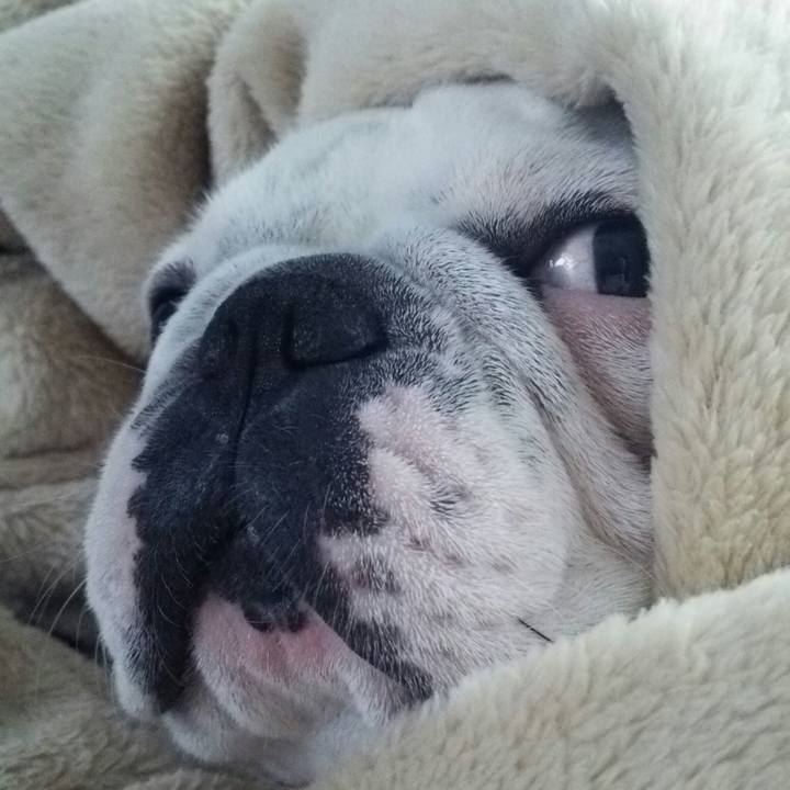 67a916e4 ed7e 462b 9bde 68b4eb463a26