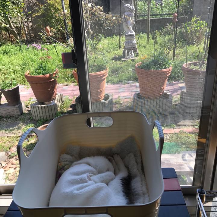 67a92ba7 84e6 433f bfd0 912d0909668e