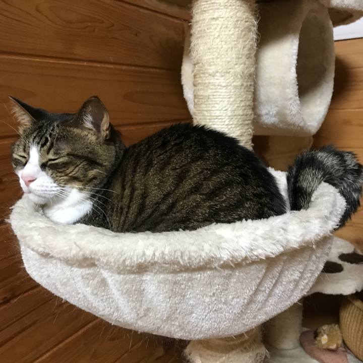 67a943f0 d917 439b a36d 28c7cf0fa2b6